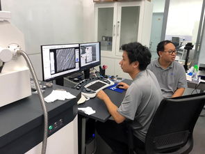 公共技术服务中心开展蔡司扫描电镜培训，提升技术服务水平