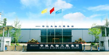 疫苗领域的革命 第三代核酸疫苗的崛起与重庆技术服务