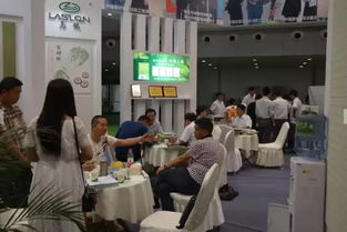 亮龙硅藻泥加速布局中西部，重庆技术服务引领行业新篇章——专访亮龙硅藻泥魏保义